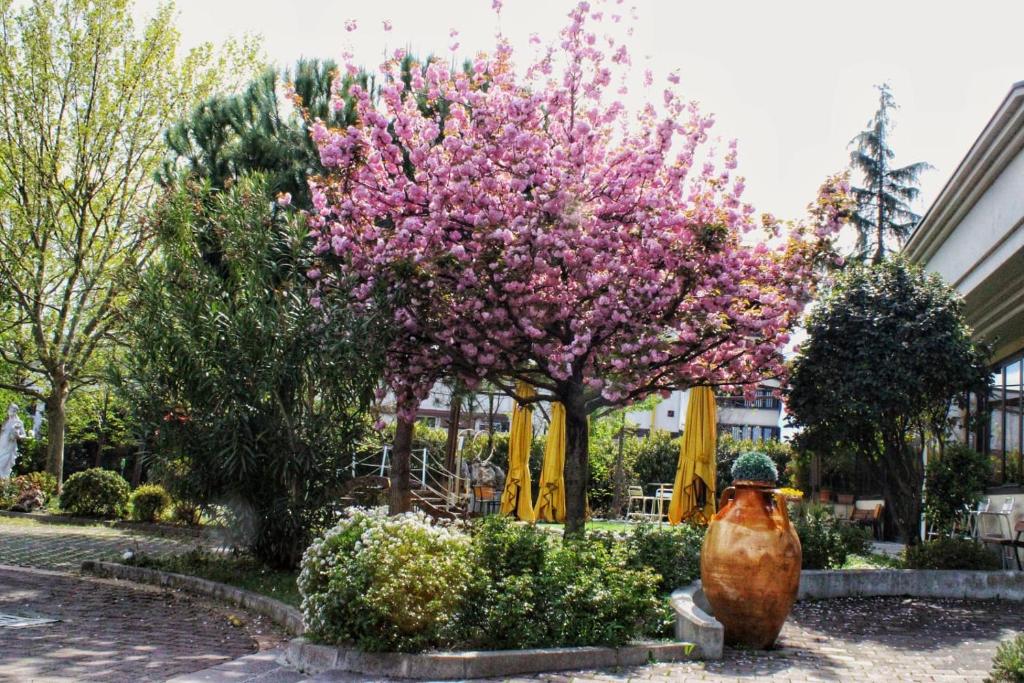 Hotel Il Maglio photo