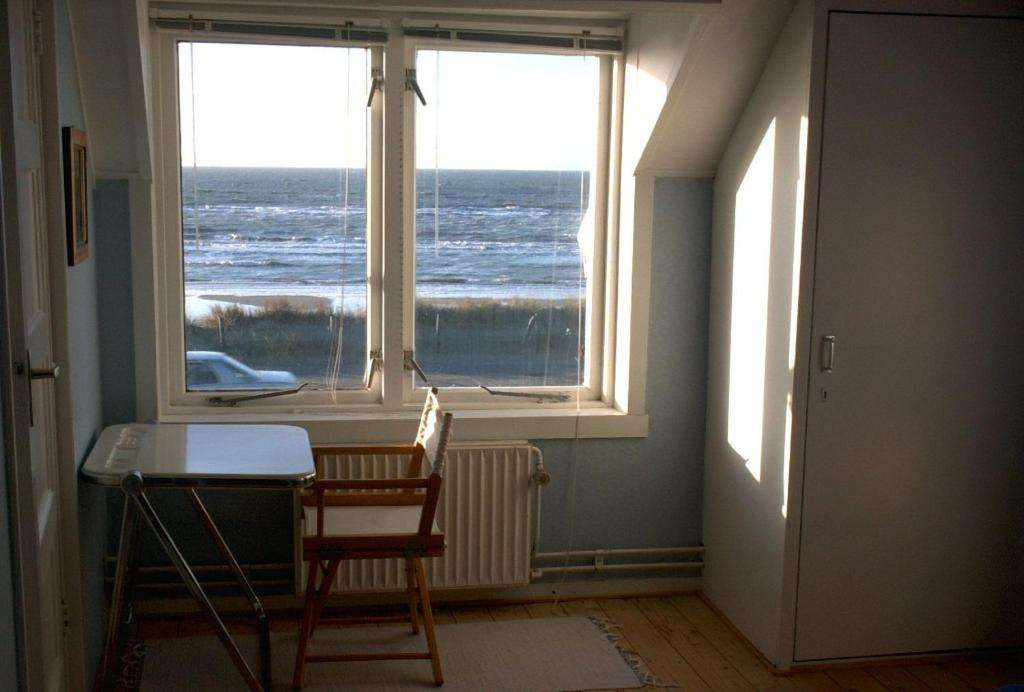 Zeeduin - fantastisch uitzicht op zee, Bergen aan Zee