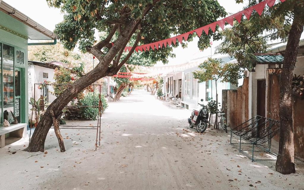 Surrounding environment