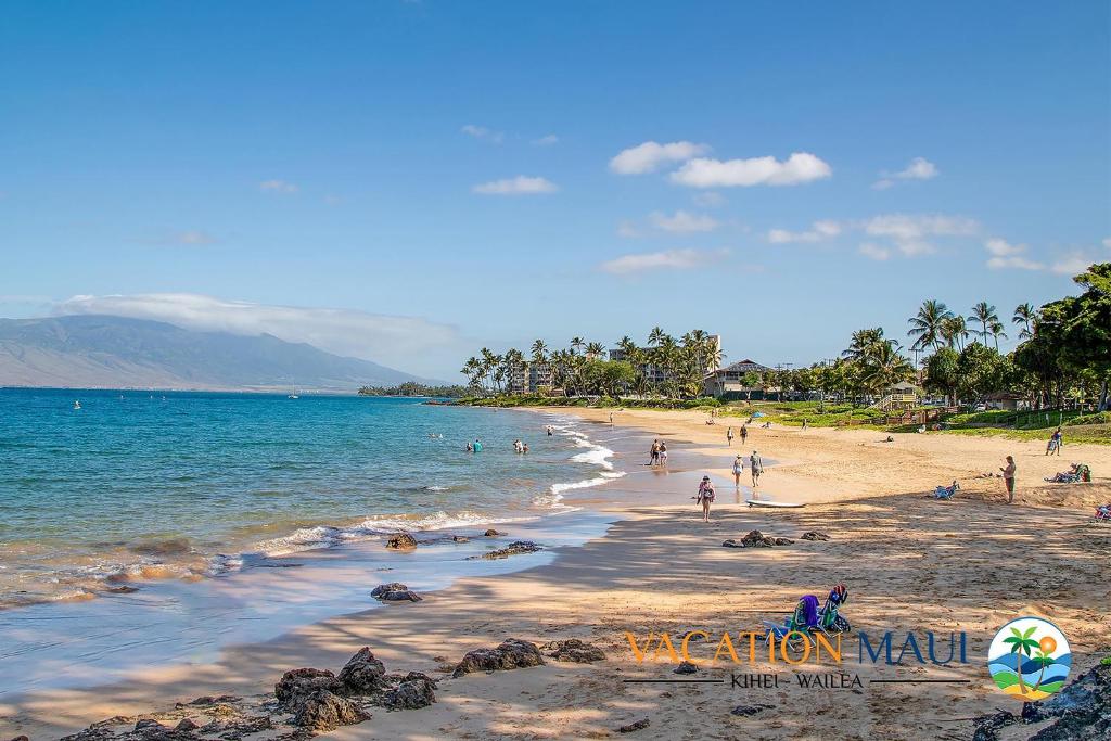 Kihei Akahi C-411 - Modern Renovation, Split AC, Wailea
