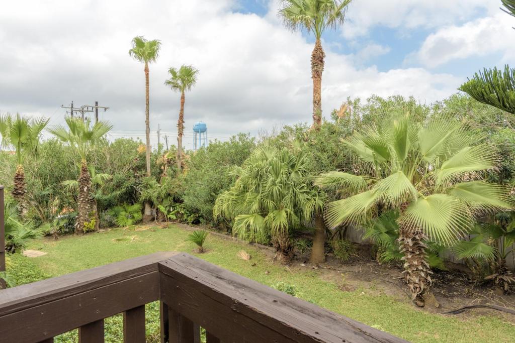Tiki 204 — Hotel in South Padre Island (TX)