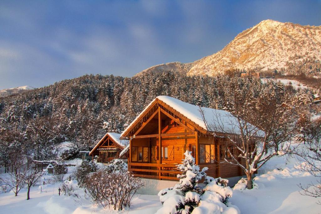Chalet Carpe Diem - 5
