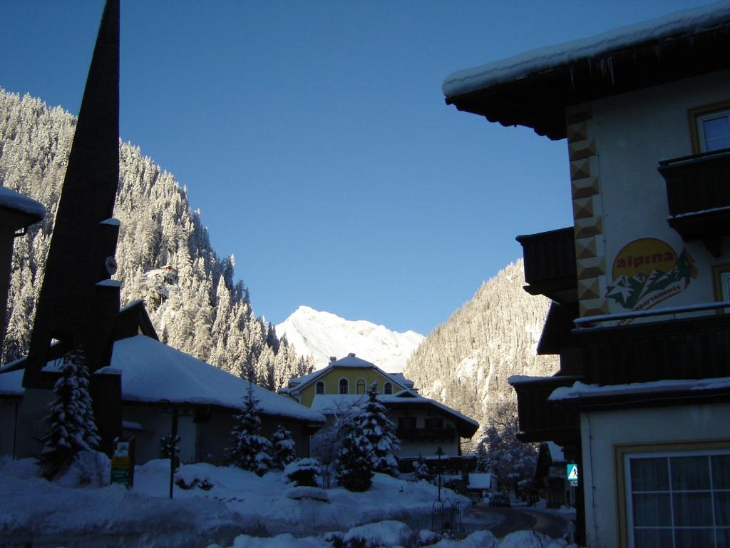 ALPINA Appartements Mallnitz - 5