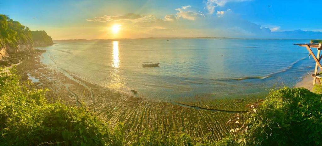 Ekas Surf Resort photo