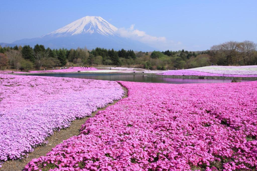 บริการและสิ่งอำนวยความสะดวก