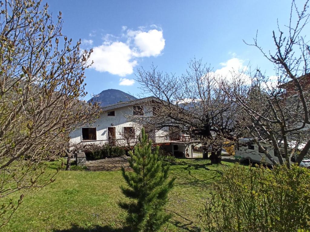 Chalet avec jardin - 3