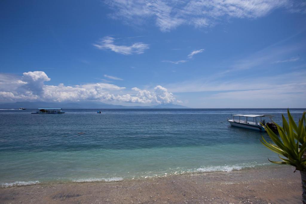 Surrounding environment