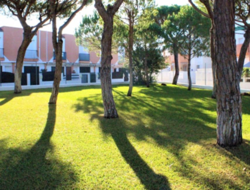 APARTAMENTO EN LA PLAYA DE LA BARROSA - 3