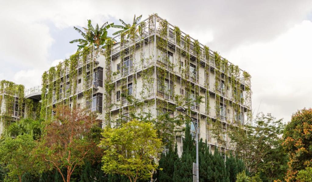 Exterior view