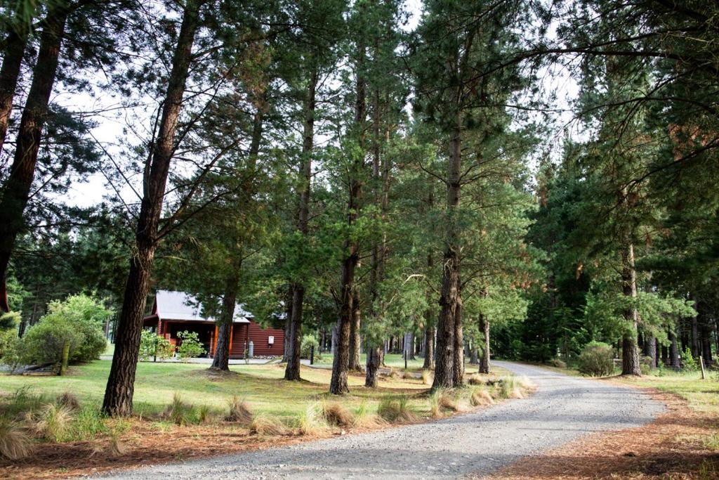 Surrounding environment, Woodbank Park Cottages in Hanmer Springs