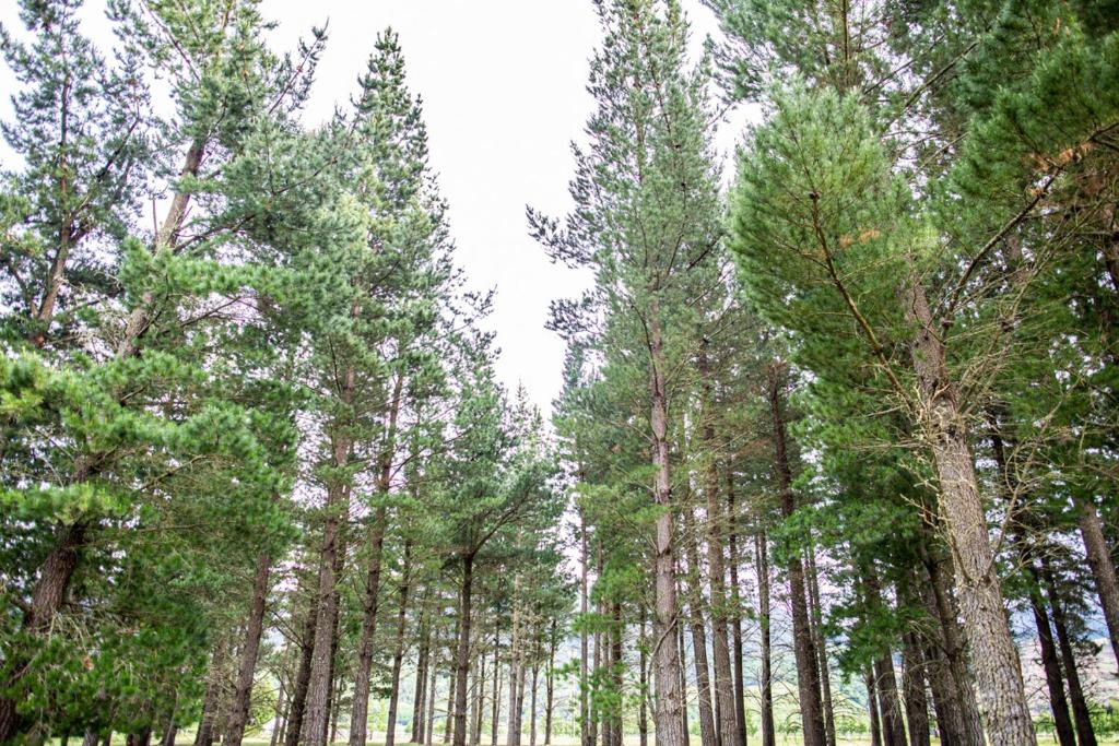 Surrounding environment