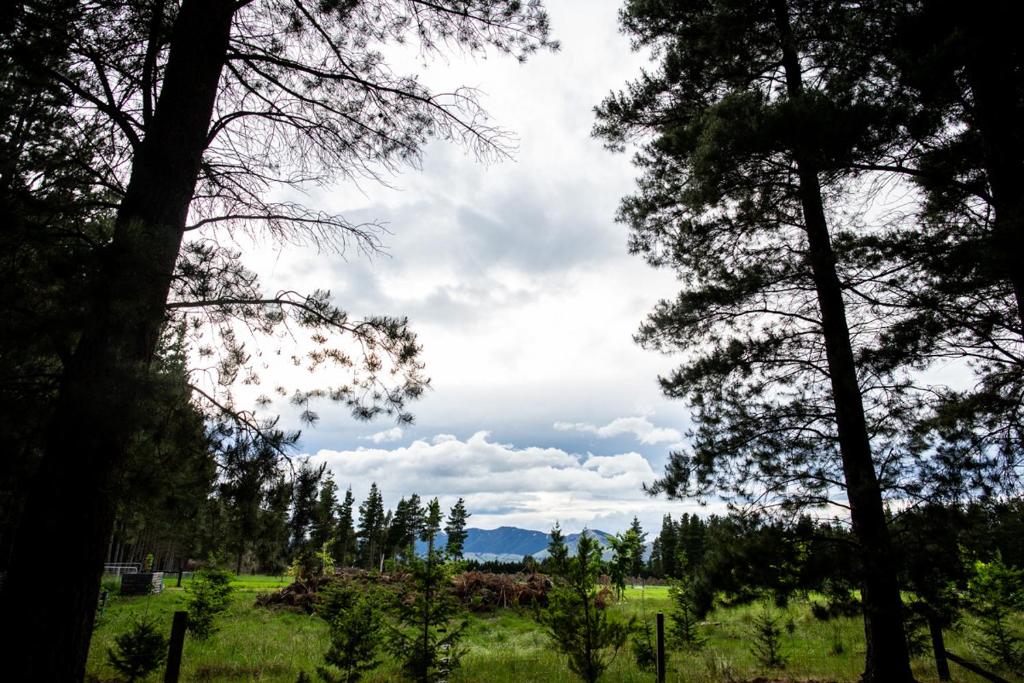 Surrounding environment
