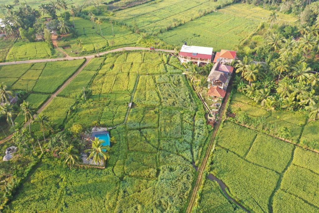 Nelu Villa Sigiriya photo