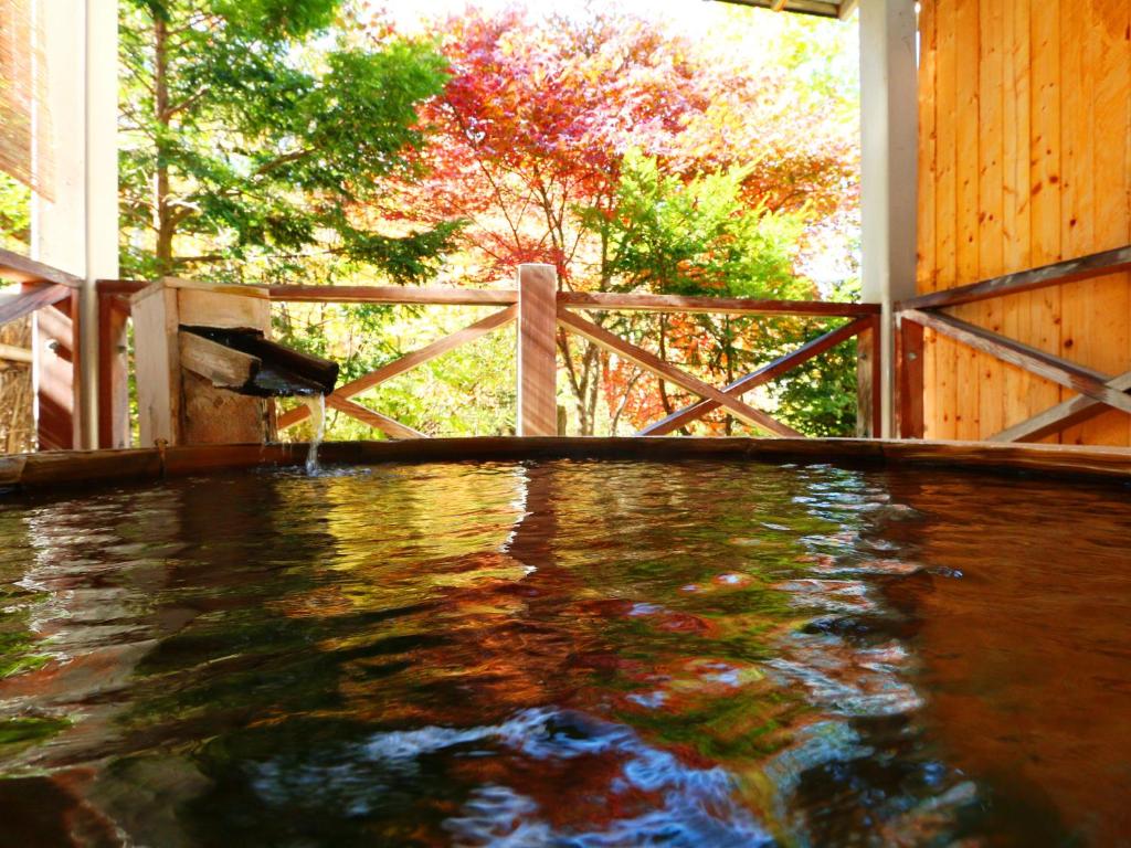 Hot spring bath