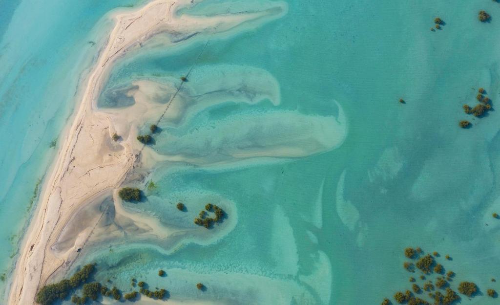 Surrounding environment