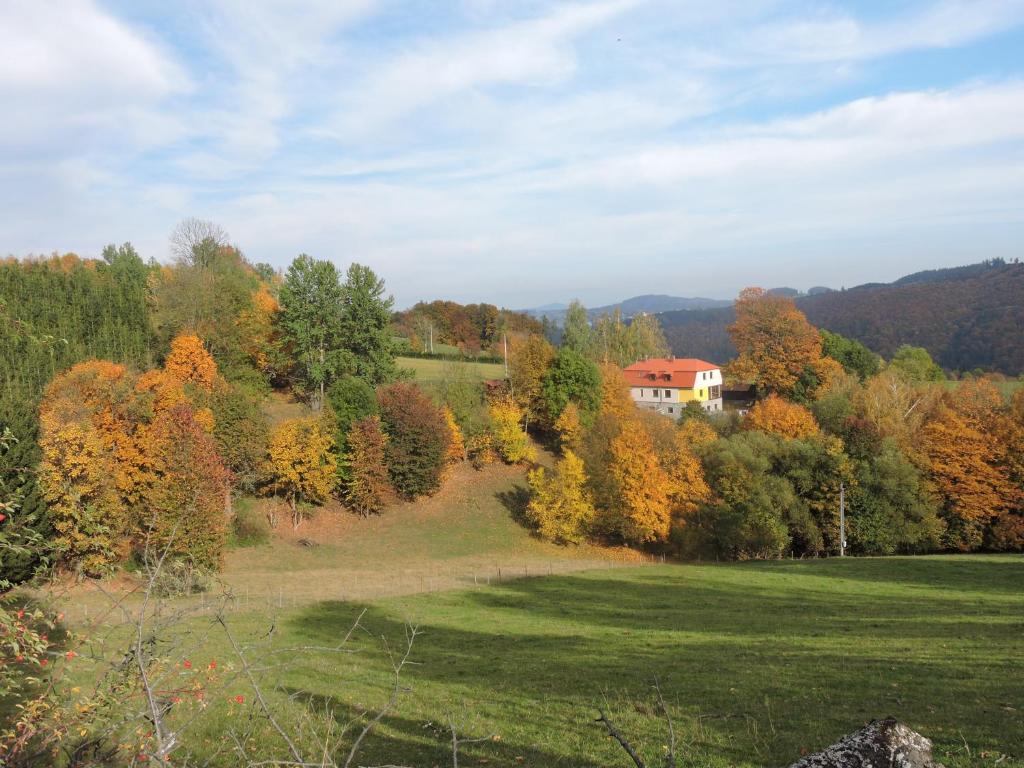 Apartmany Na Lonte — Hotel in Cotkytle