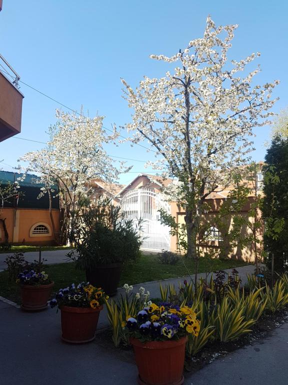 Otel Apartments Bella Mare Belgrade — Hotel in Belgrade