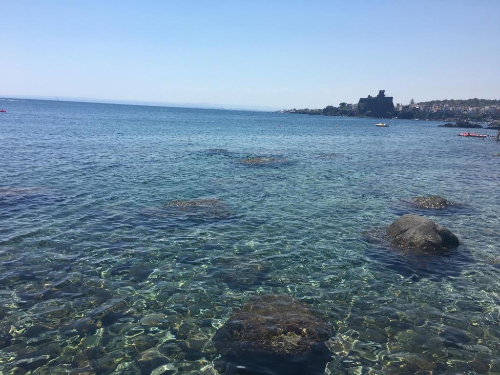 Surrounding environment