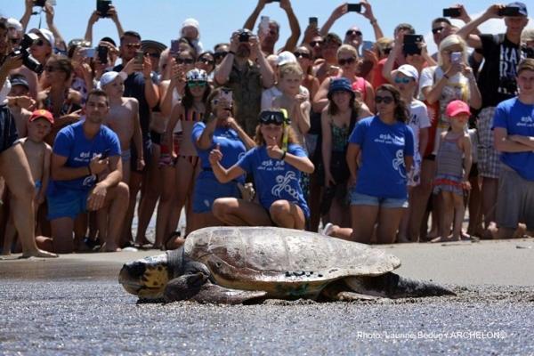 周辺観光スポット