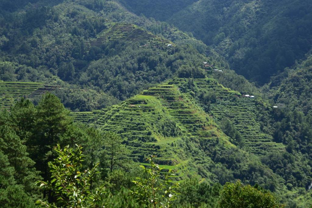 Surrounding environment