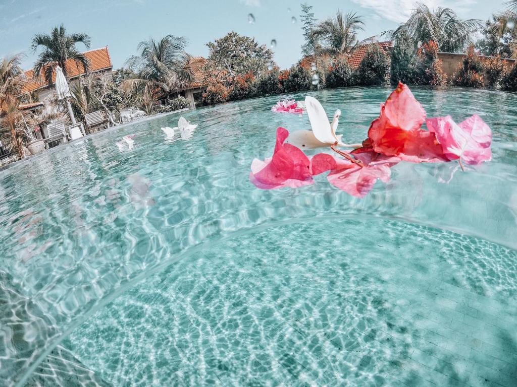Uluwatu Breeze Village photo