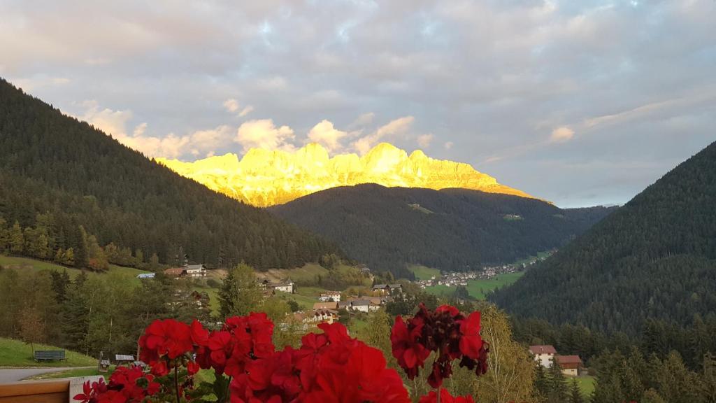 Kellnerhof - 3