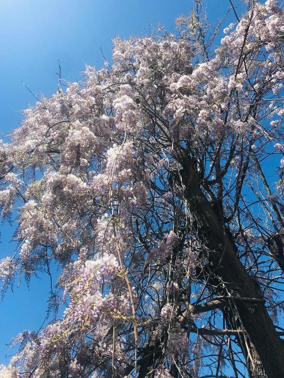 Surrounding environment