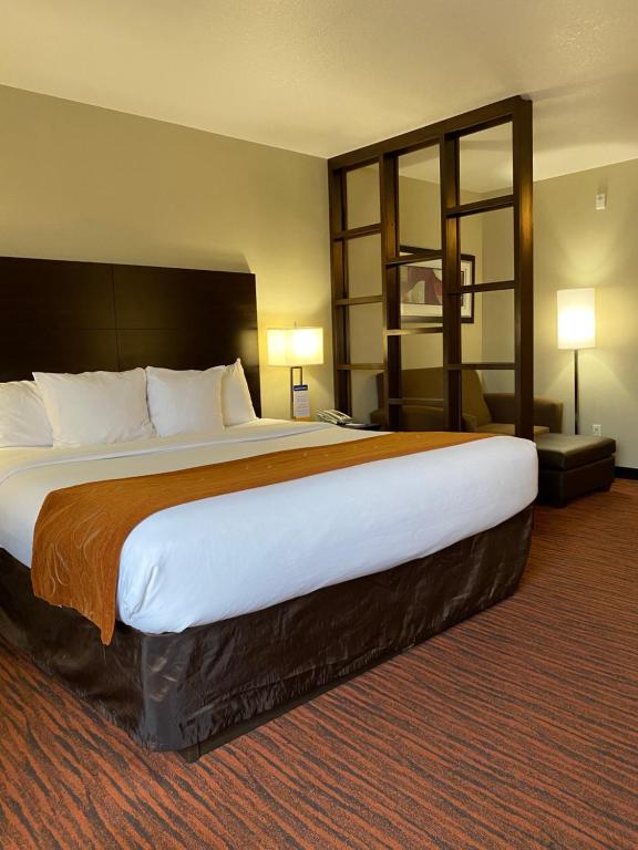 Comfort Suites photo