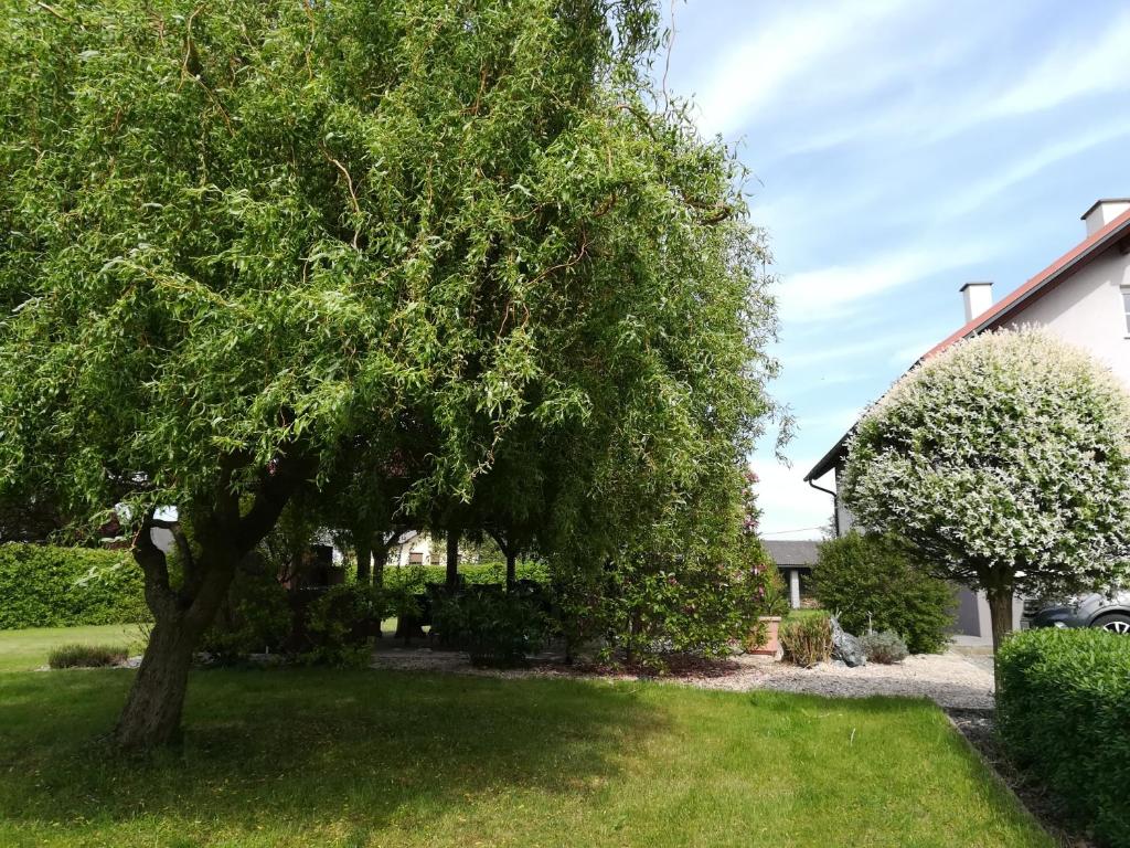 Landhaus List - 5