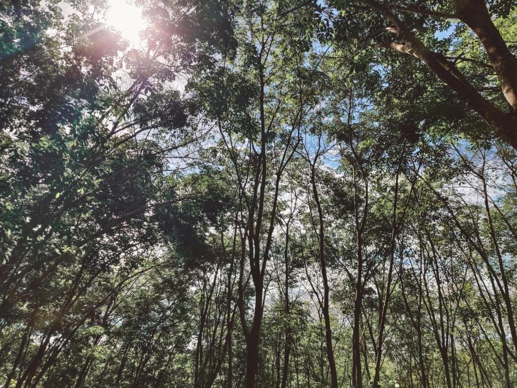 Surrounding environment