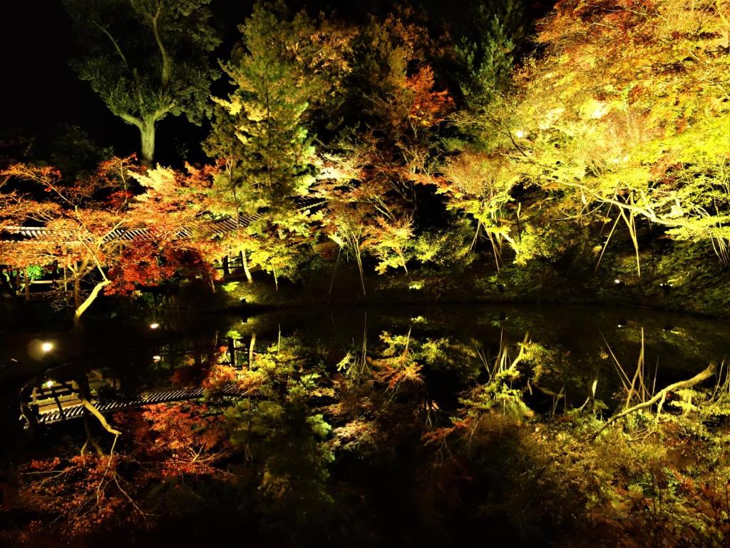 鄰近的景點