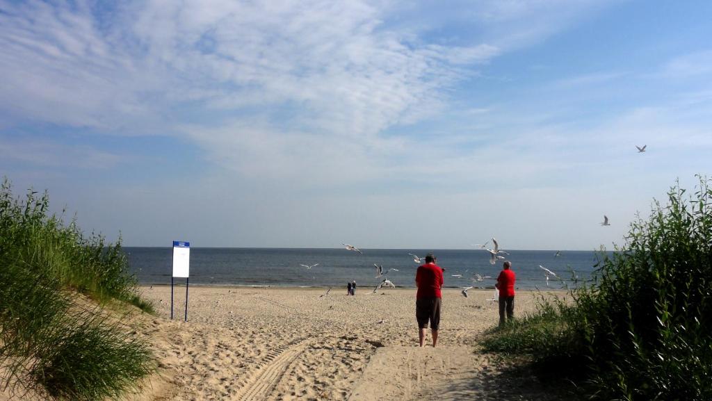 Apartamenty na Wyspie - Promenada photo