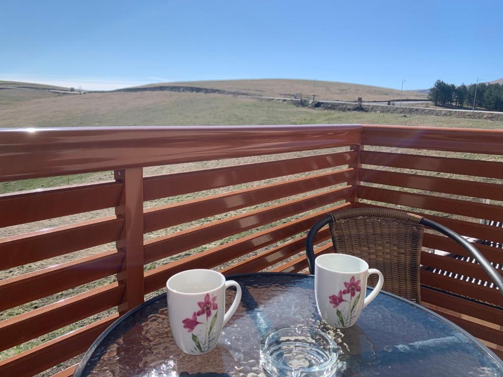 Zlatibor Hills Panorama photo
