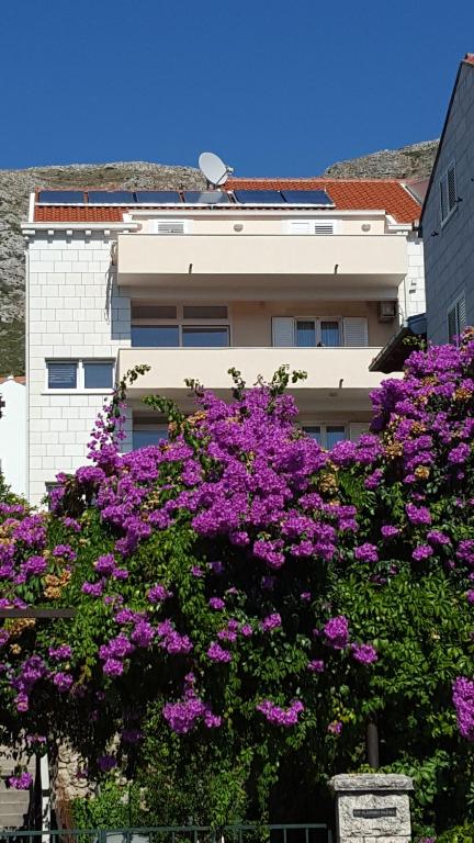 Apartments Laus — Hotel in Dubrovnik