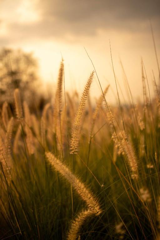 สภาพแวดล้อมโดยรอบ