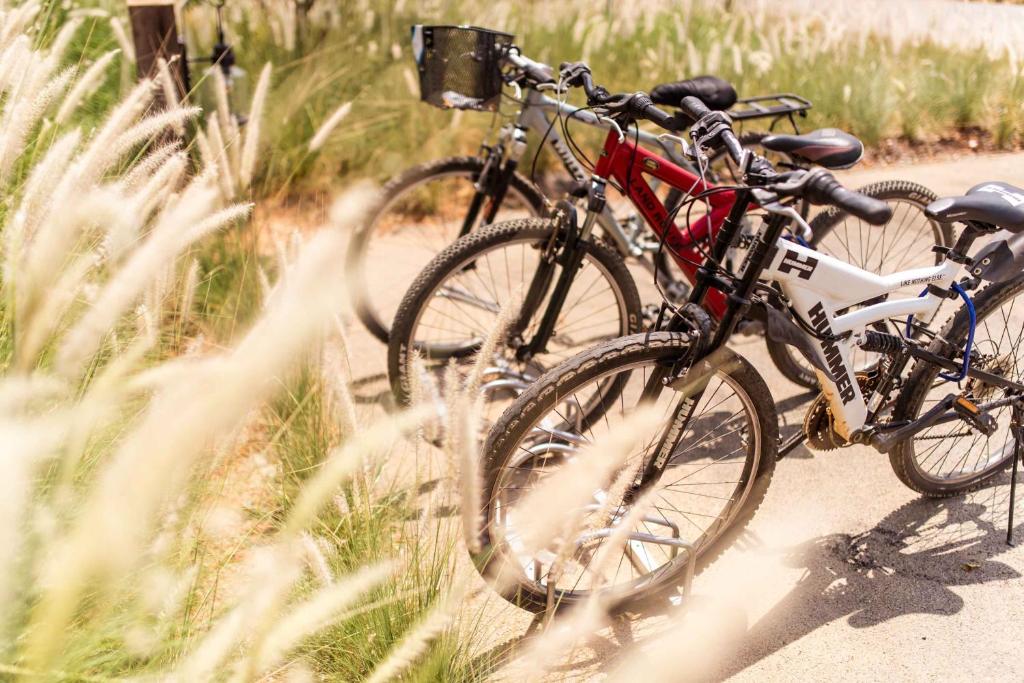 กีฬาและกิจกรรมสันทนาการ