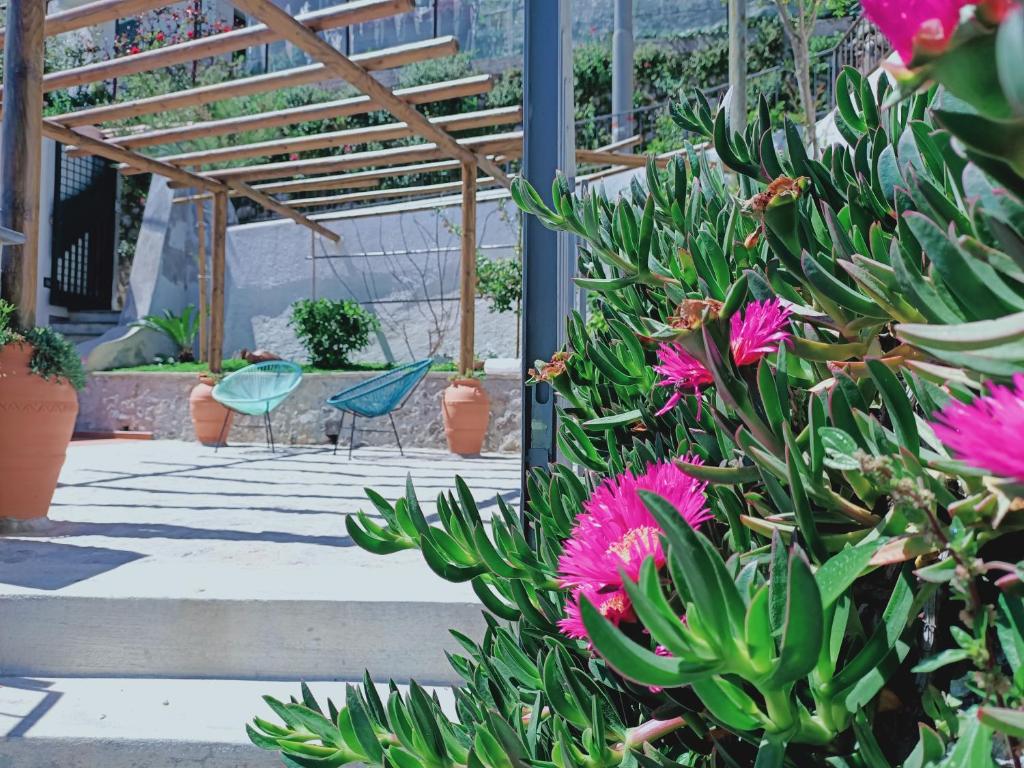 DAME casa vacanza - 3