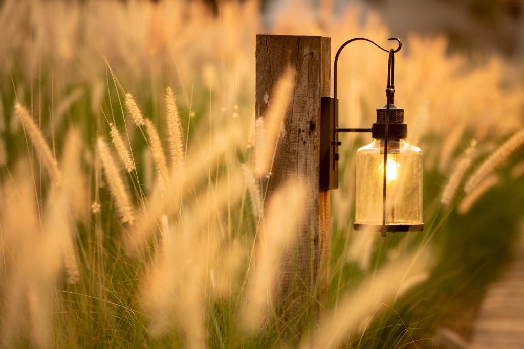 ทัศนียภาพ