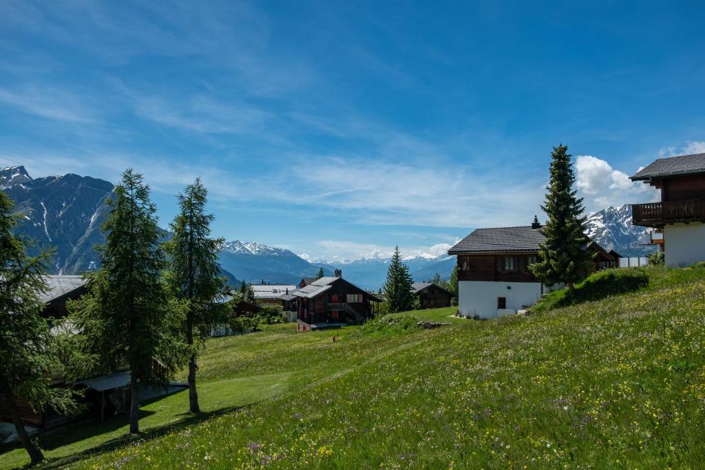 Labbrunnu OG in den Walliser Alpen - 3