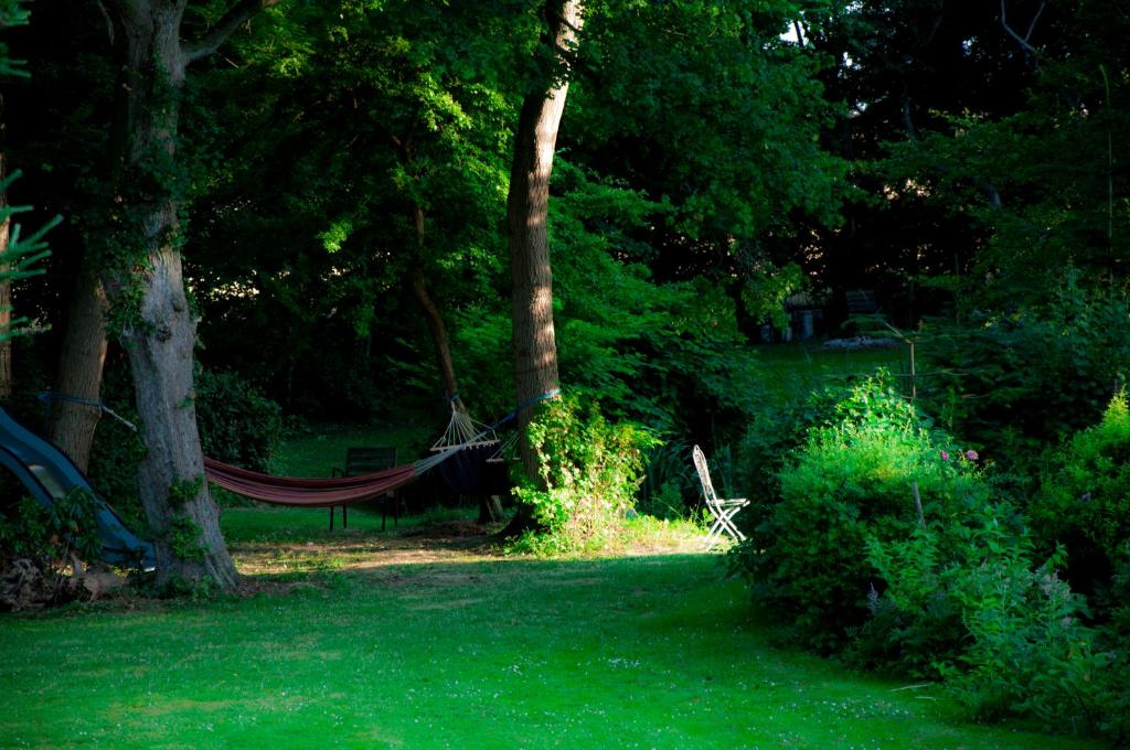 tuin