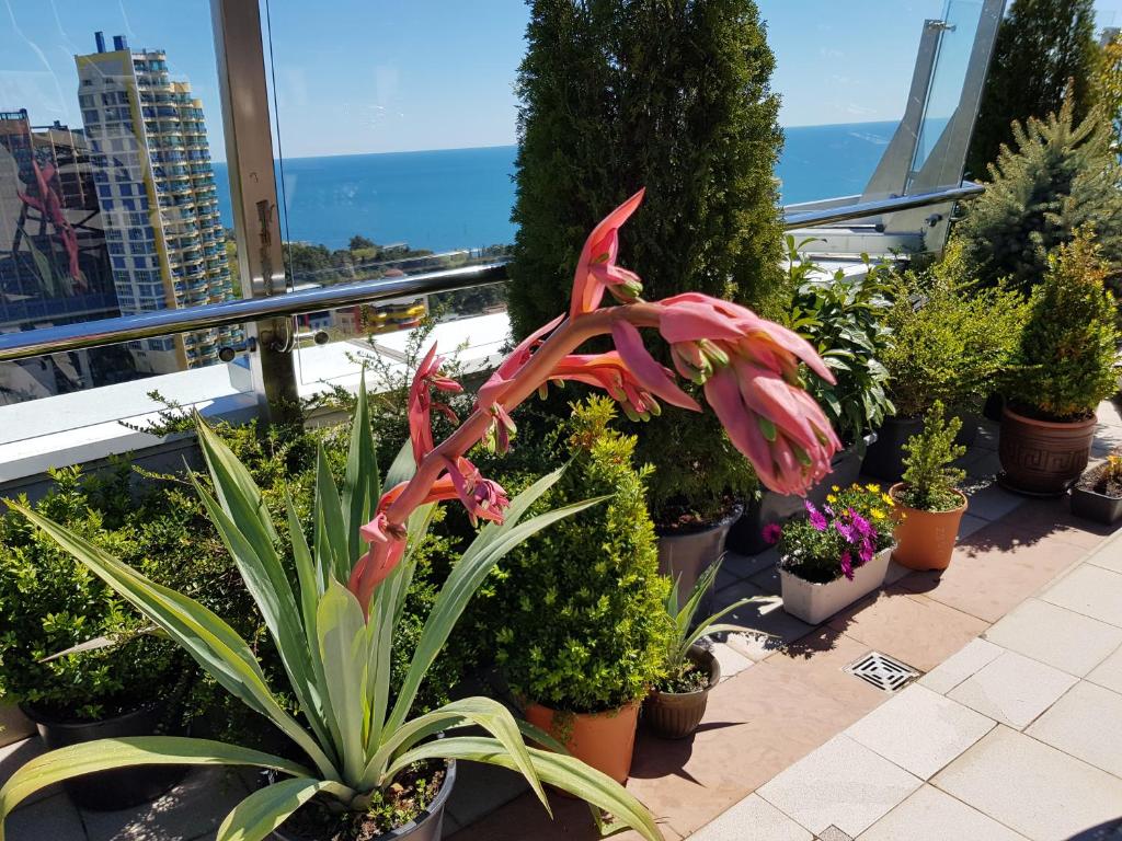 Penthouse with a swimming pool SKY photo
