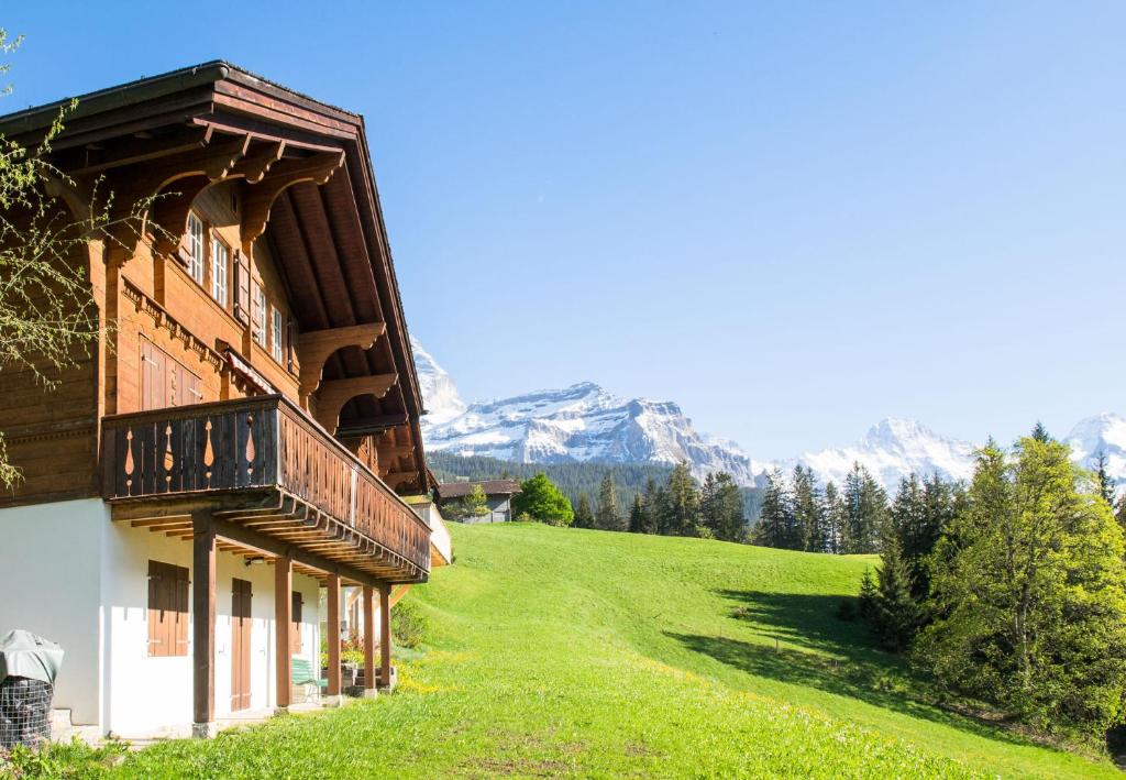 Chalet Irene - 4