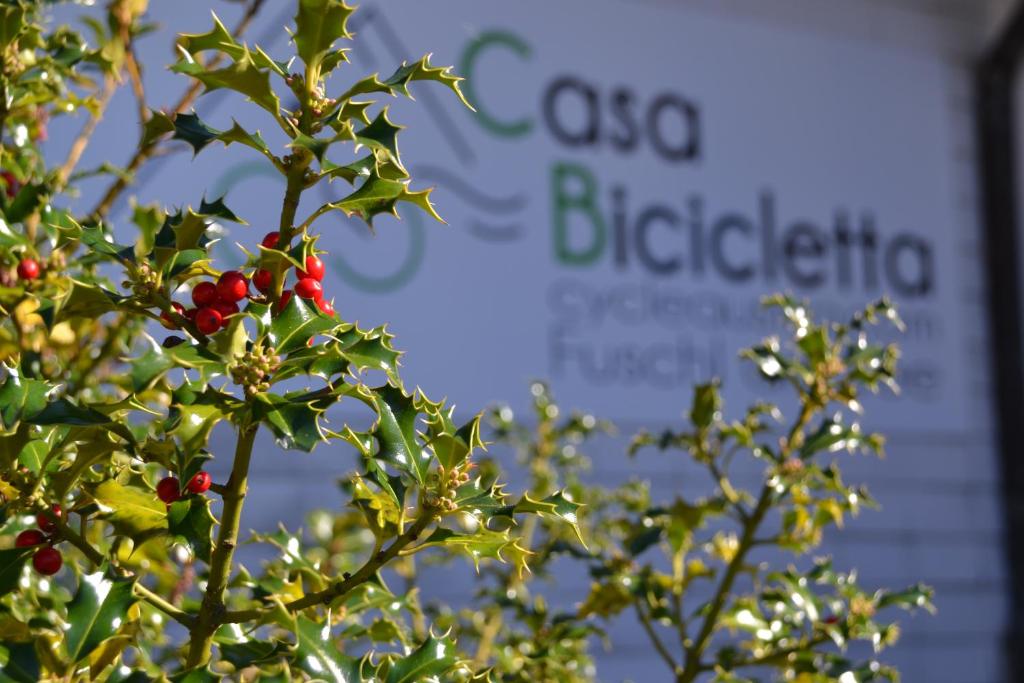 Casa Bicicletta - 2