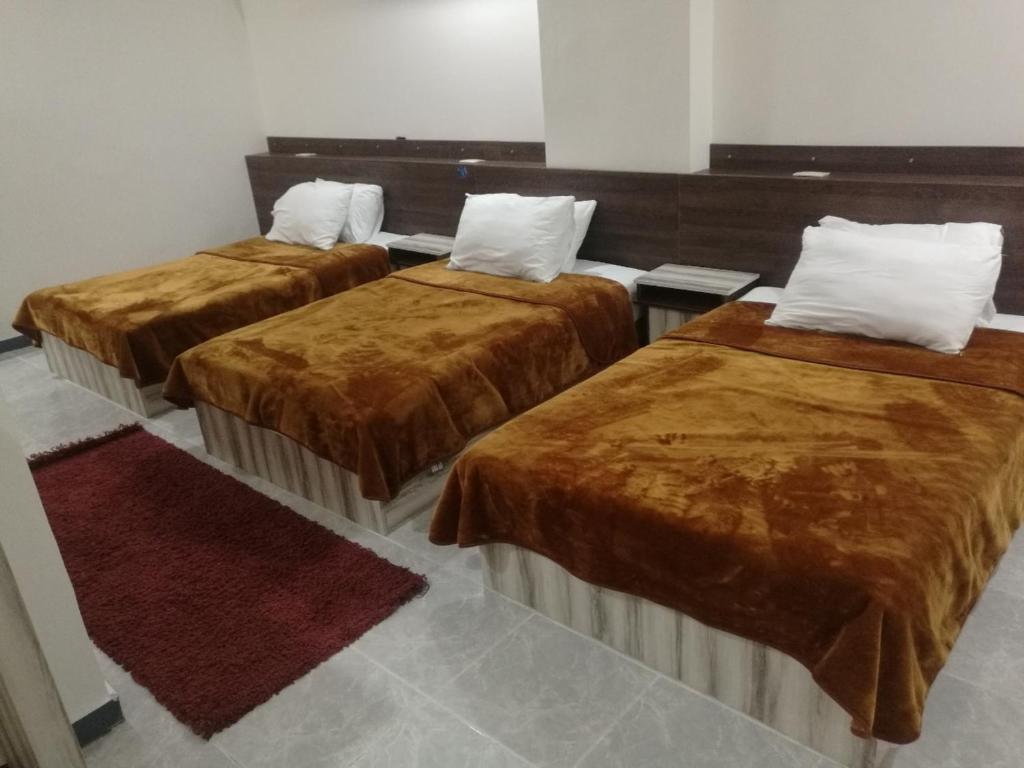 AL ASAFRA DAHAB - families only photo