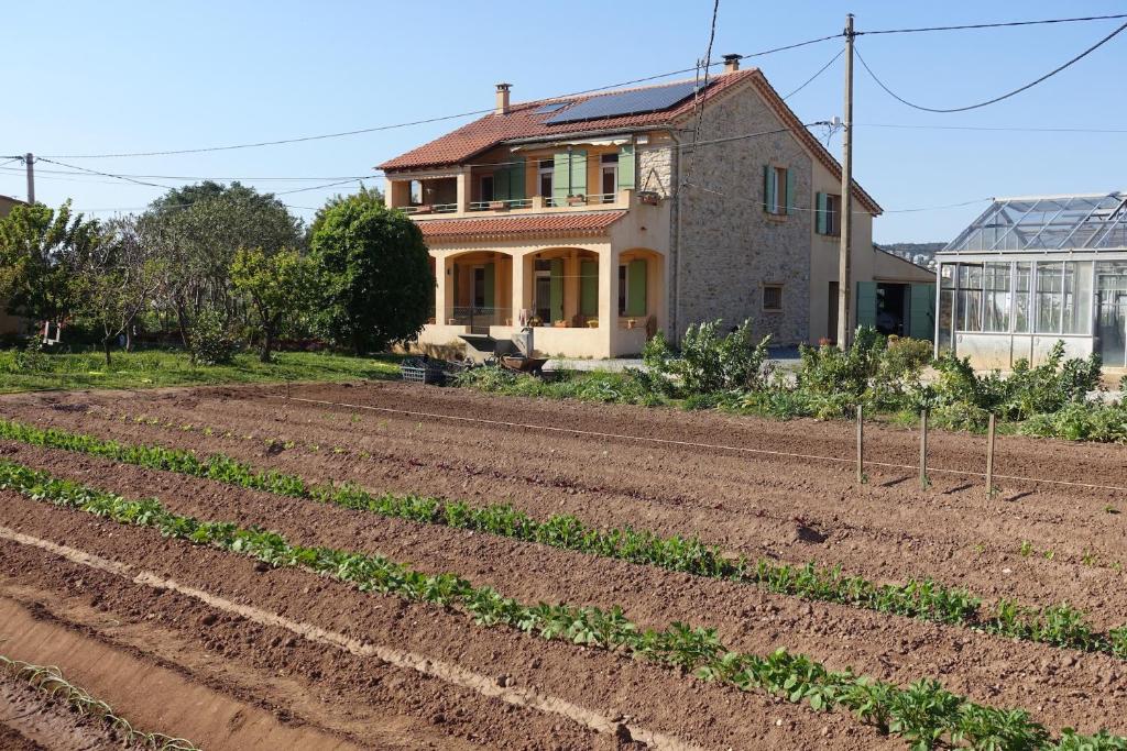 Gîte du Pagoulin - Gîte - 2