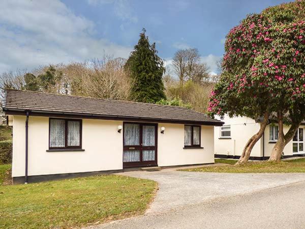 Chy Lowenna, Liskeard photo 6