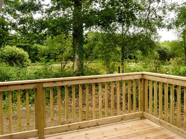 Chaffinch Lodge, Highampton photo 6