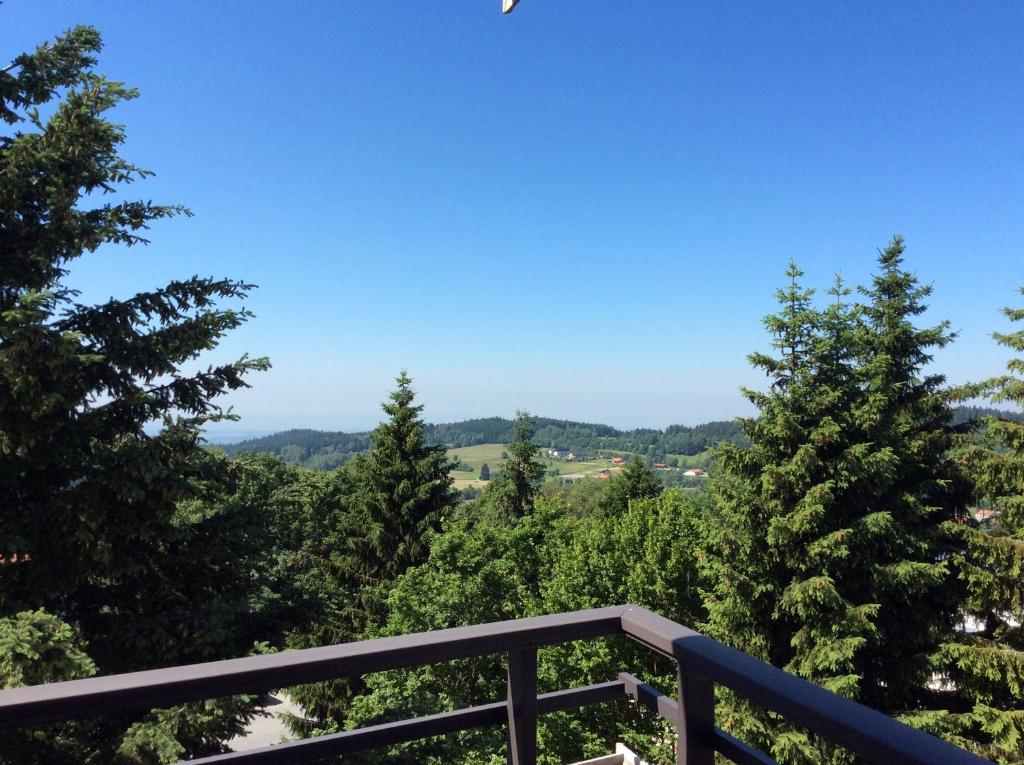 Wellness Apartment Sankt Englmar - 2