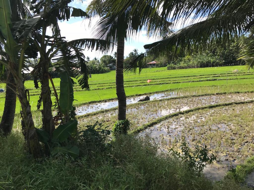 Surrounding environment