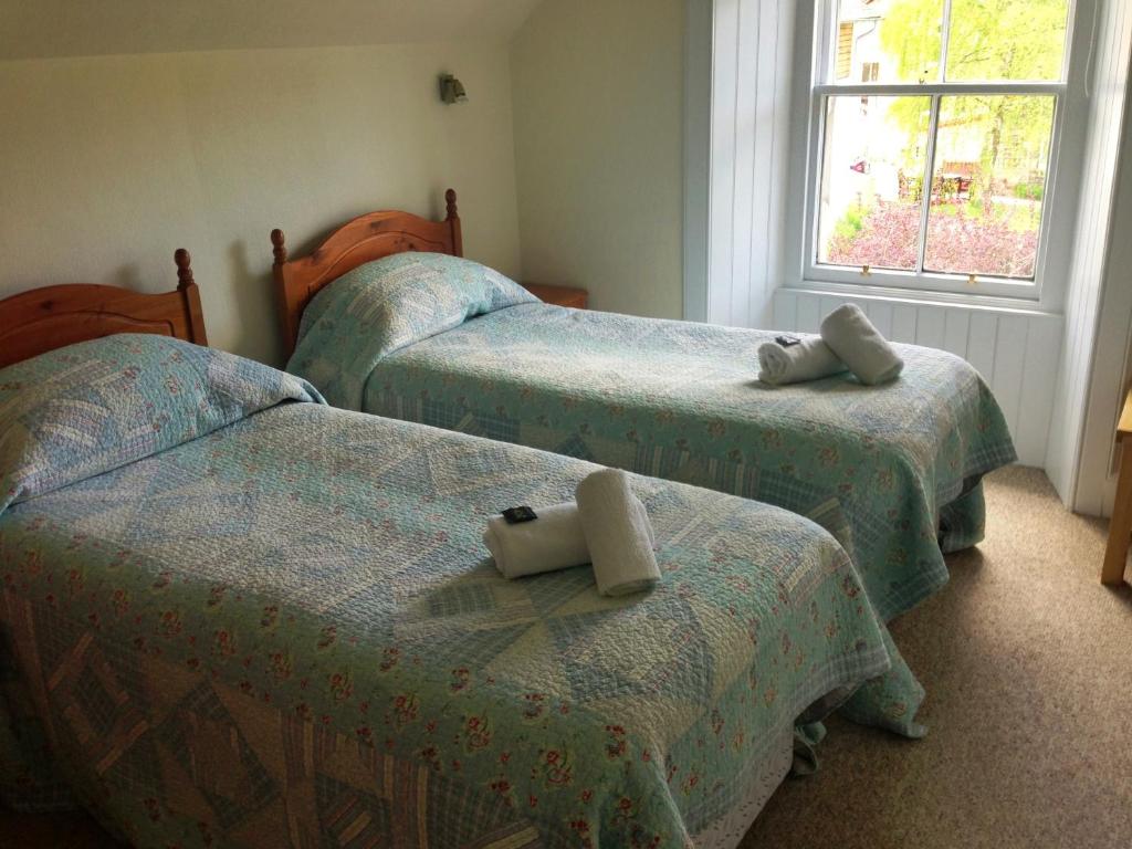 Buttonboss Lodge B&B photo